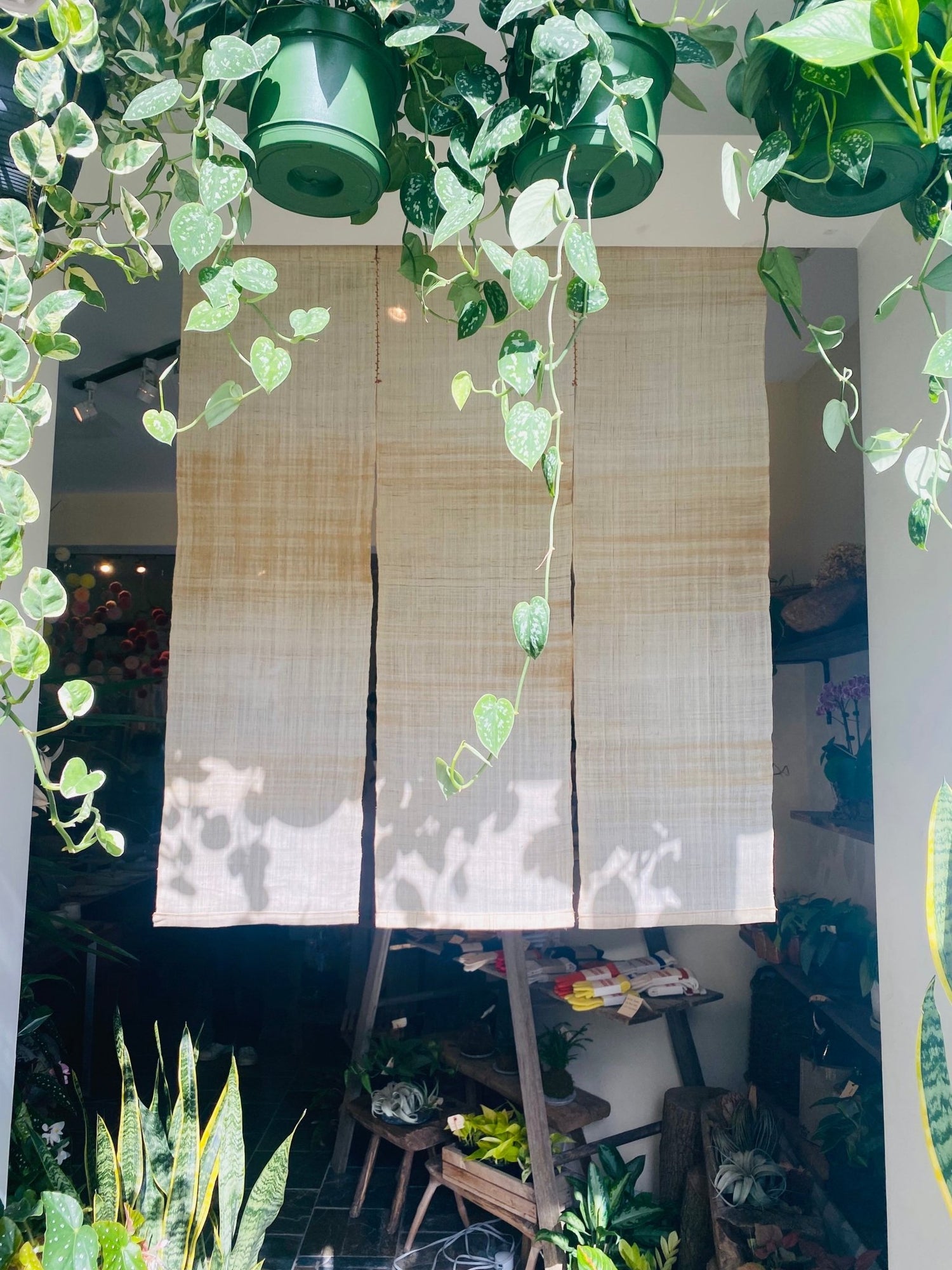 Step Through the Noren: Discovering the World Beyond‼︎ - MIKA