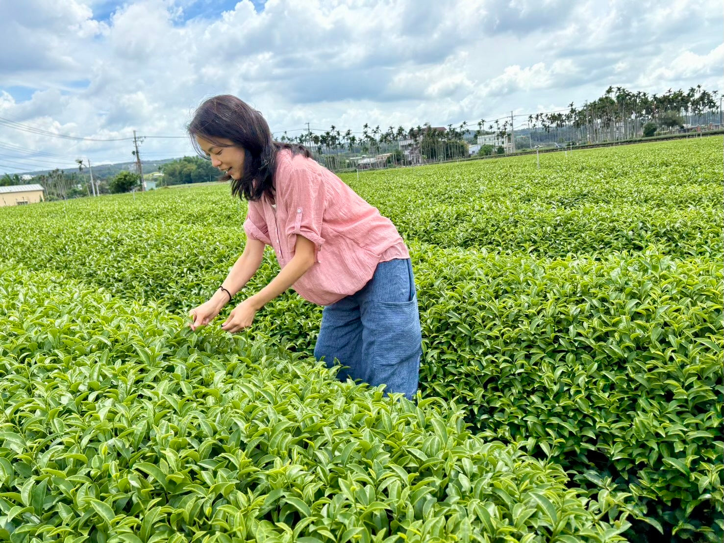Taiwanese Oolong tea workshop with Mika