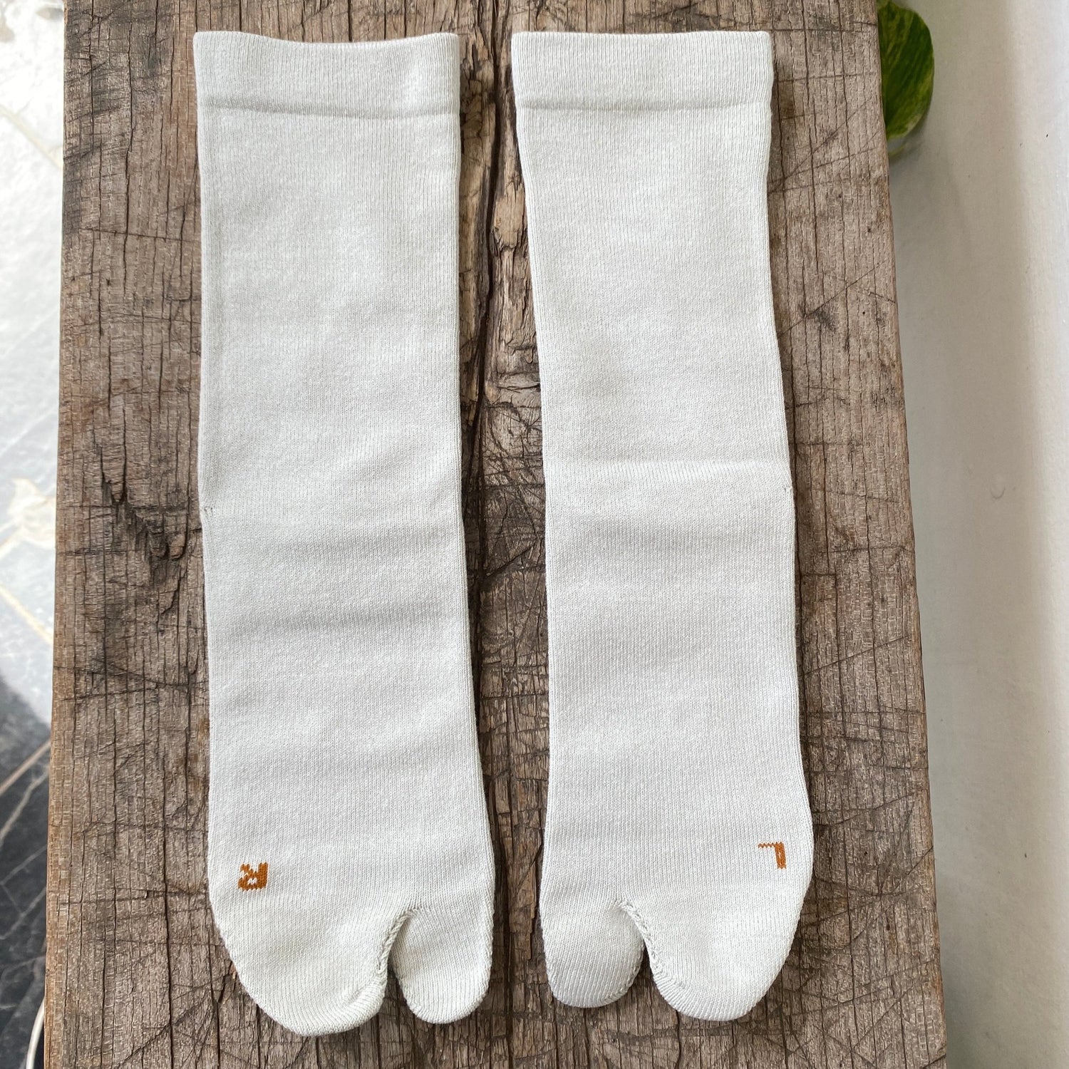 AMIATABI Cotton Silk Basic Socks - MIKAHardgoods