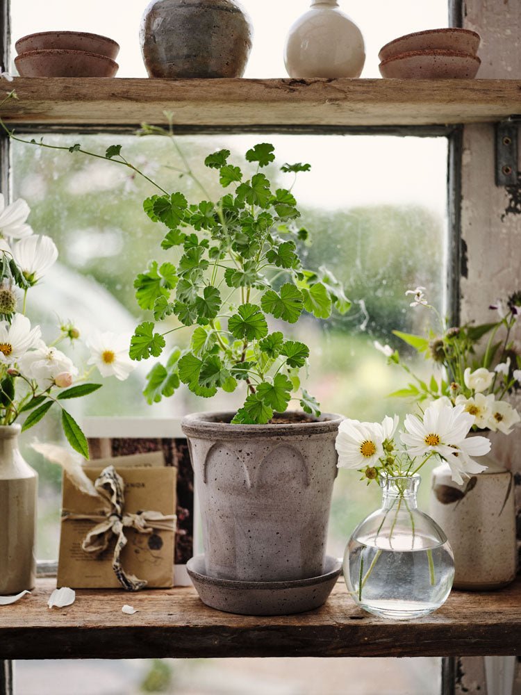 Bergs Potter - Elizabeth Gray - MIKAHardgoods