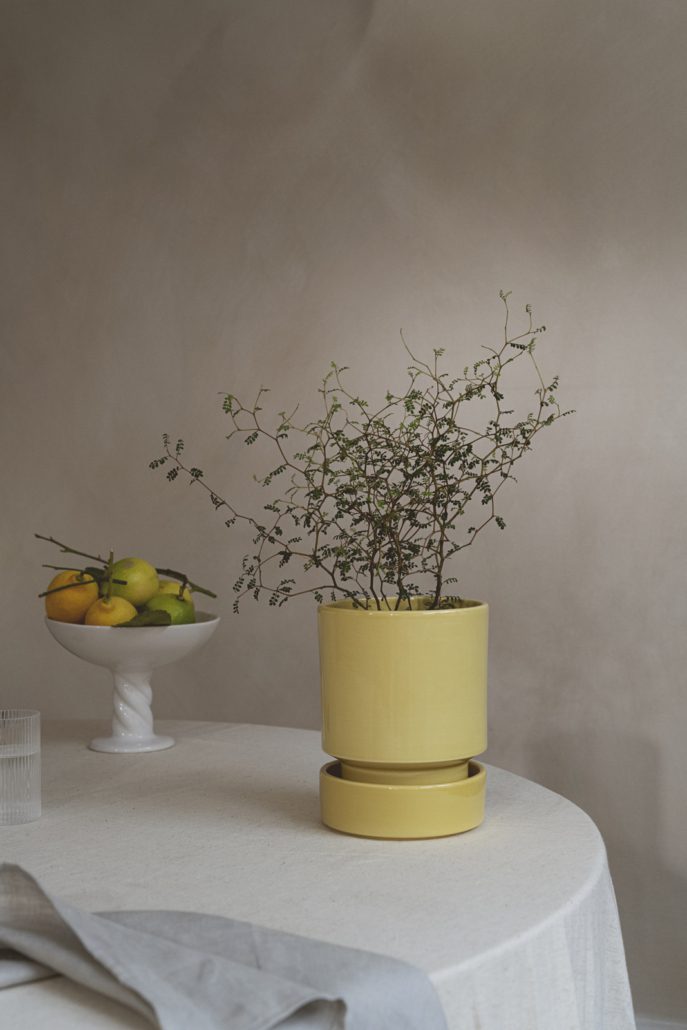 Bergs Potter - Hoff Yellow Glazed - MIKAHardgoods
