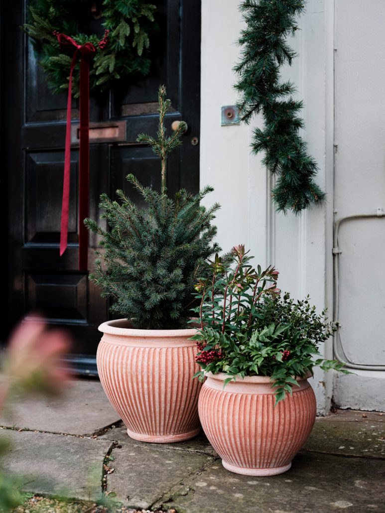 Bergs Potter - Piccolina - MIKAHardgoods