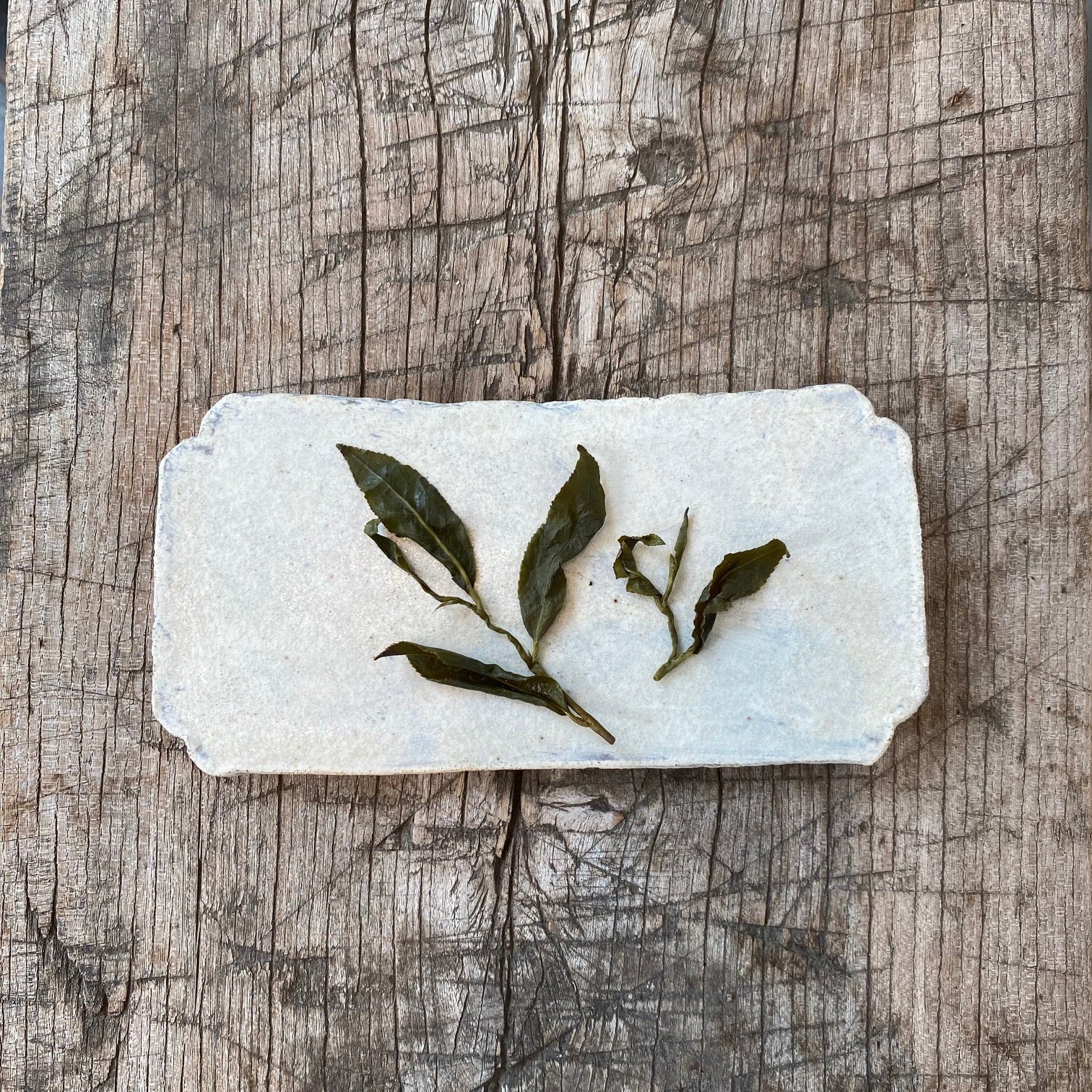 Yushan High Mountain Oolong (50g) - MIKATea