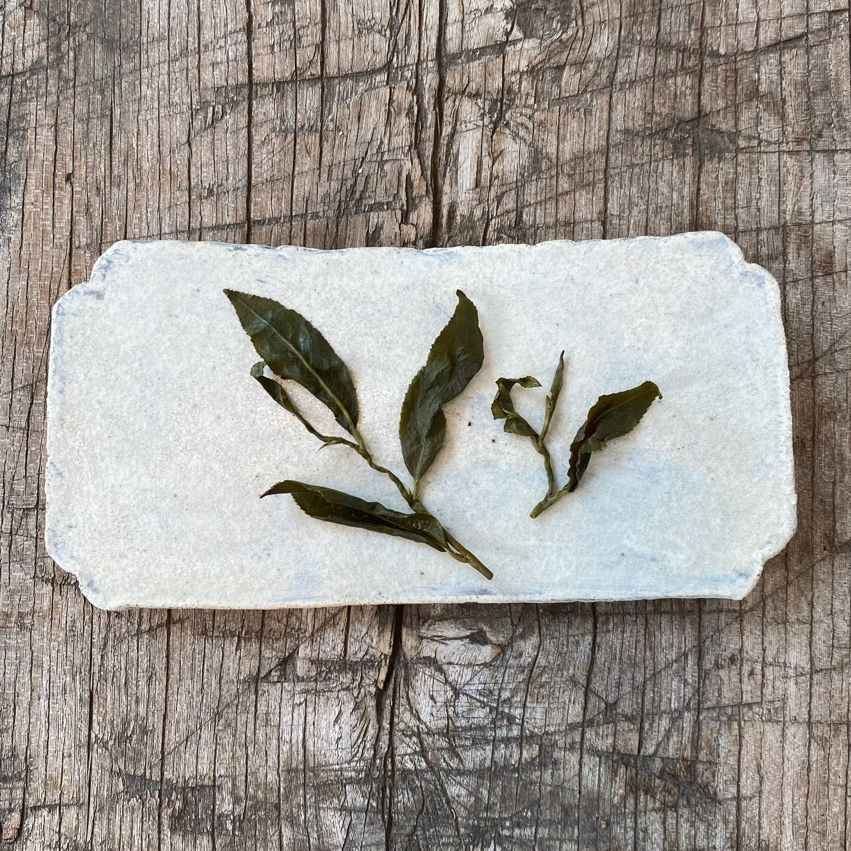 Yushan High Mountain Oolong (50g) - MIKATea