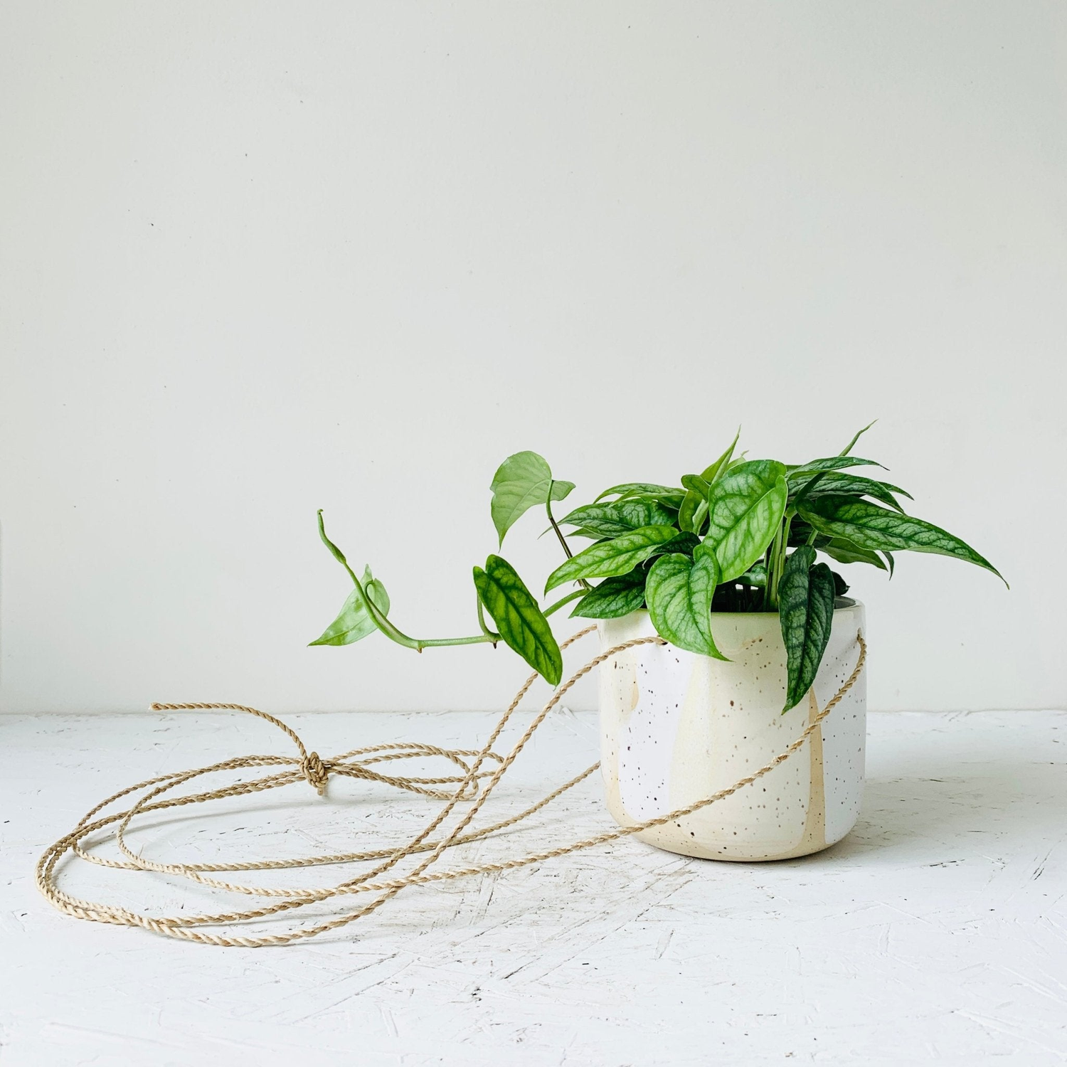Planter - MIKAFleur