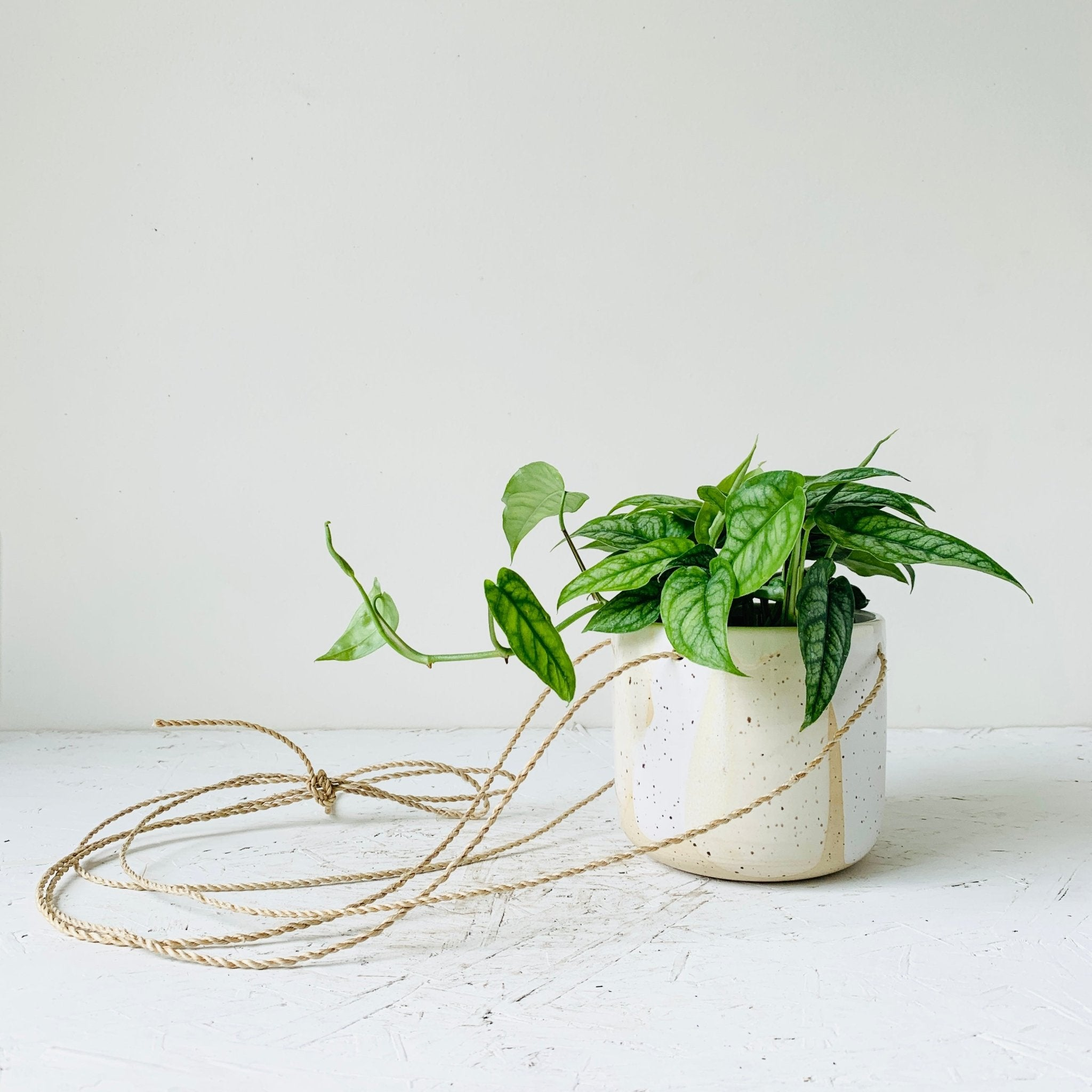 Planter - MIKAFleur
