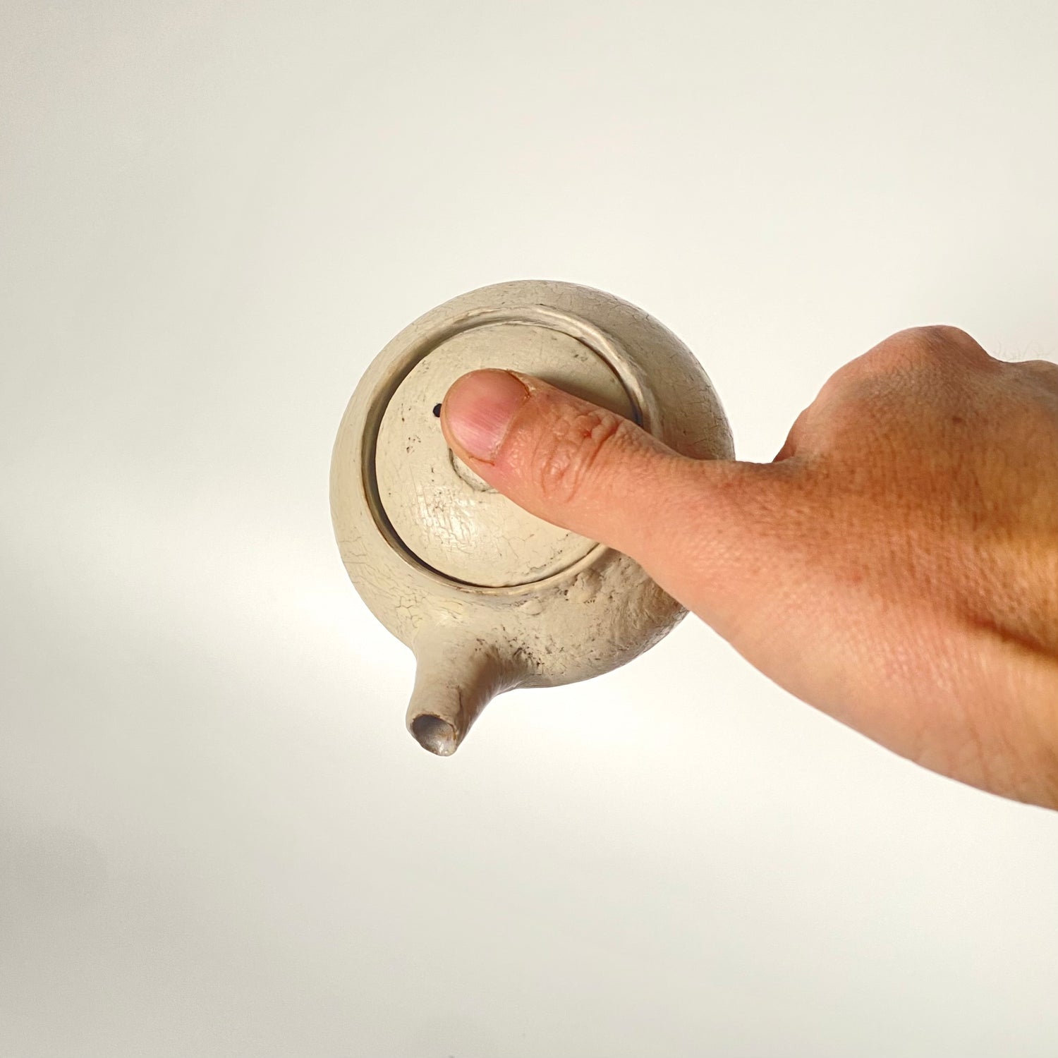 Ceramic Teapot – Birch | Utsuroi by MIKA