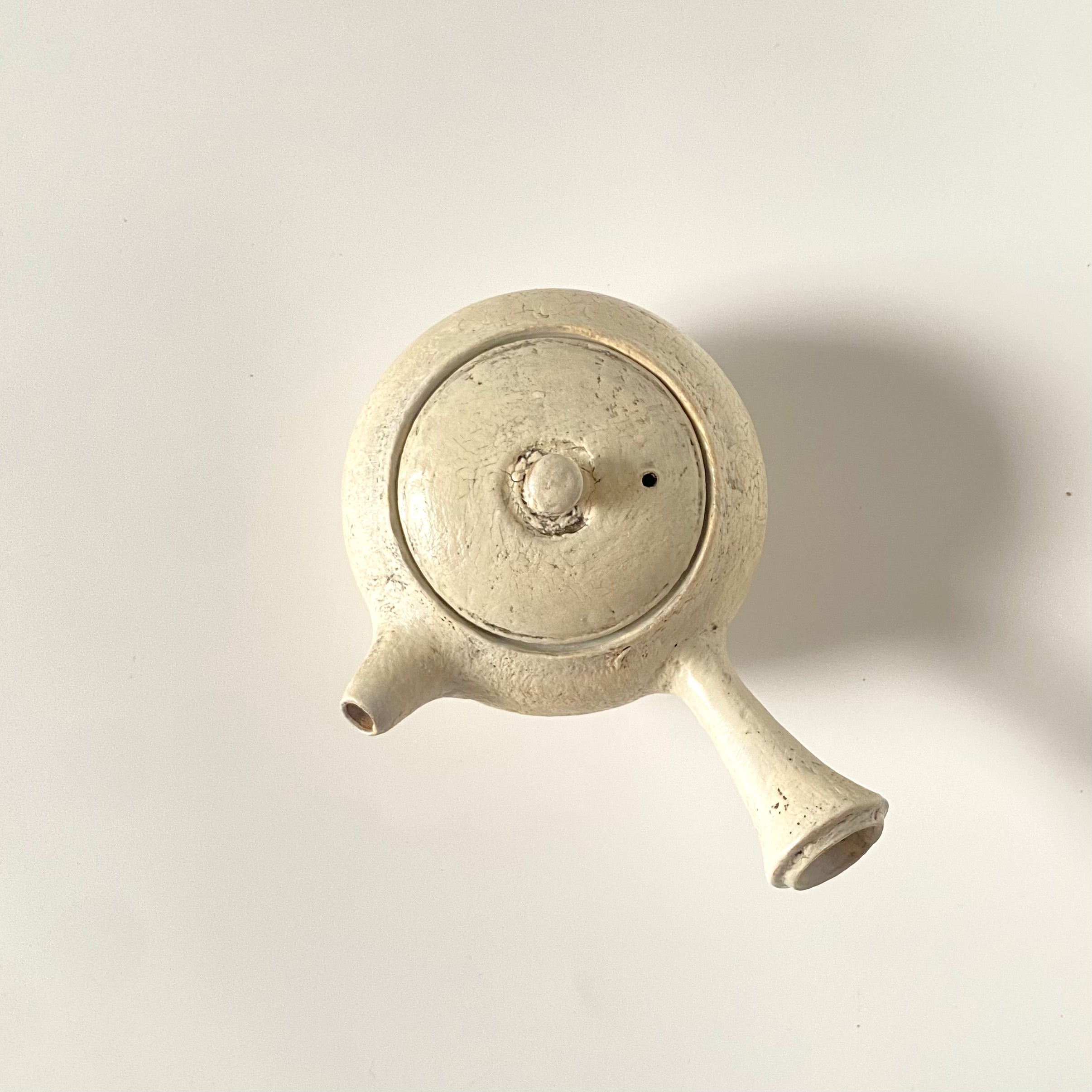Ceramic Teapot – Birch | Utsuroi by MIKA