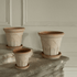 Bergs Potter - Fleur - MIKAHardgoods