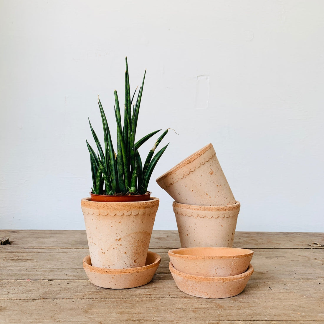 Bergs Potter - Helena - MIKAFleurHardgoods