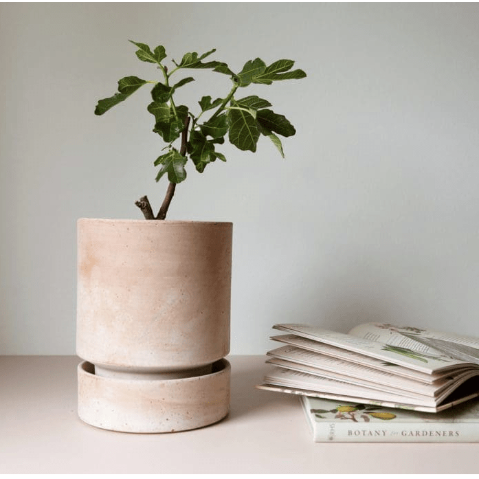 Bergs Potter Hoff Terracotta Pot with Saucer | Danish Modern Design - MIKAHardgoods