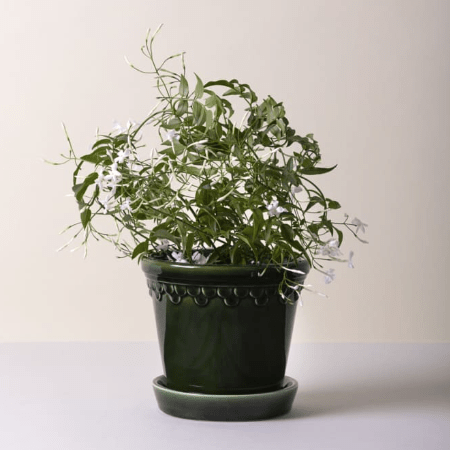 Bergs Potter - Københavener Emerald Green Glazed - MIKAHardgoods