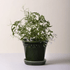 Bergs Potter - Københavener Emerald Green Glazed - MIKAHardgoods