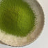 Japanese Matcha premium ceremonial grade 30g | Sweet & smooth - MIKATea