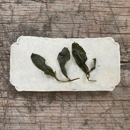Meifeng High Mountain Oolong (50g) - MIKATea