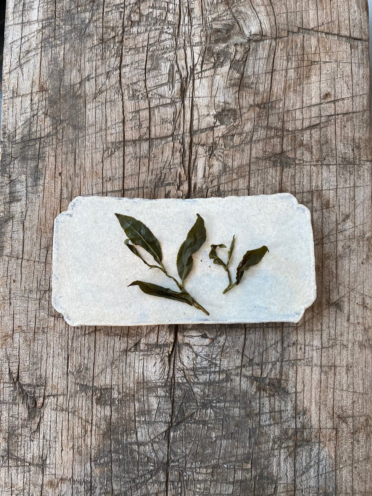 Yushan High Mountain Oolong (50g) - MIKATea