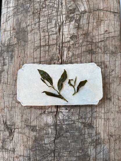 Yushan High Mountain Oolong (50g) - MIKATea