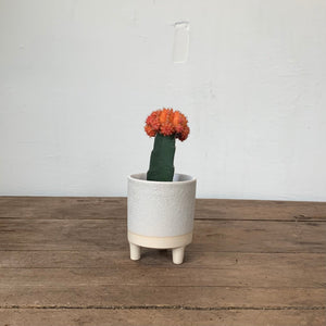 
                  
                    Load image into Gallery viewer, 3.5&amp;quot; &amp;amp; 2.75&amp;quot; Footed ceramic pot - MIKAFleurHardgoods
                  
                