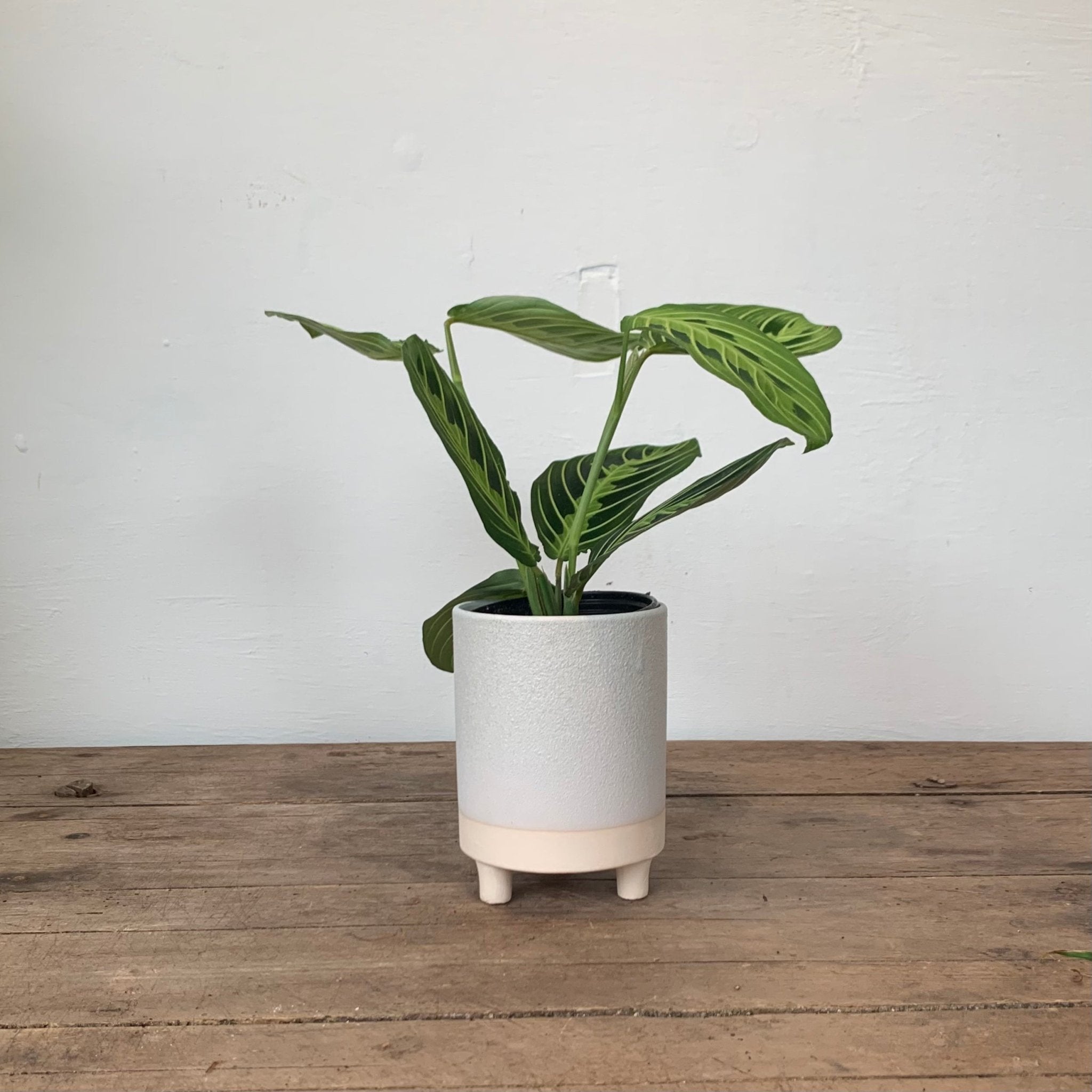 3.5&quot; &amp; 2.75&quot; Footed ceramic pot - MIKAFleurHardgoods