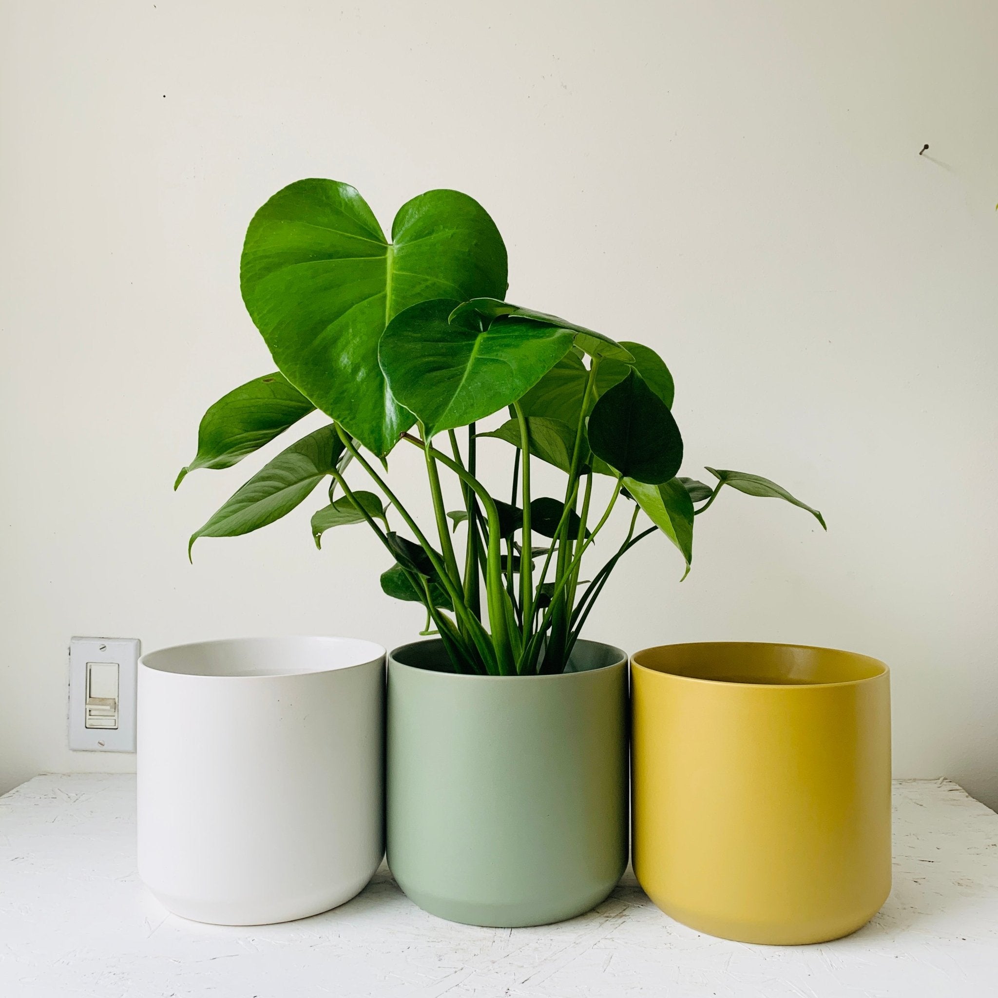 6&quot; CLASSIC CERAMIC POT - MIKAFleurHardgoods