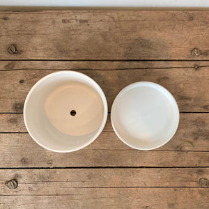 
                  
                    Load image into Gallery viewer, 6&amp;quot; Romey Pot With Drainage Hole &amp;amp; Saucer - MIKAFleurHardgoods
                  
                