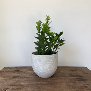 
                  
                    Load image into Gallery viewer, 12&amp;quot; 10&amp;quot; 6&amp;quot; 4&amp;quot; Ceramic pot
                  
                