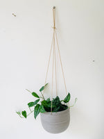 MIKA's Handmade Hanging Pot - MIKAFleurHardgoods