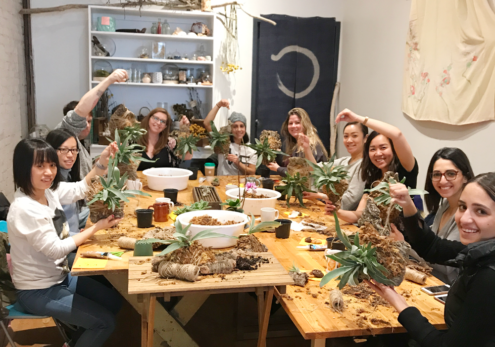 Workshop: Staghorn Fern and Air Plant Mounting on Cork Bark